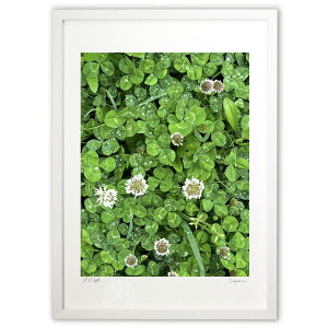 ŉ HAPPY (cafe-Bon-)