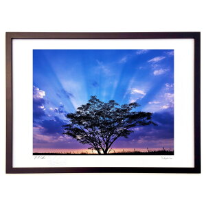 ŉ Vg̒q ( i)CeA Ǌ| z i |X^[ A[g rO ւɏ  v[g _ A[gt[