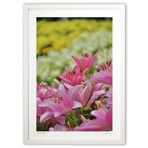 yX[p[SALEzzŉ sÑ[ (mitan)CeA Ǌ| z i |X^[ A[g rO ւɏ  v[g _ A[gt[