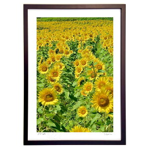 ŉ WWƋPЂ܂ (mitan)CeA Ǌ| z i |X^[ A[g rO ւɏ  v[g _ A[gt[