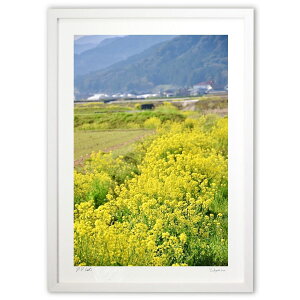 ŉ Ȃ̍؂̉ (mitan)CeA Ǌ| z i |X^[ A[g rO ւɏ  v[g _ A[gt[