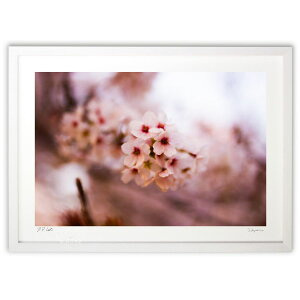 ŉ \CVm (Rcm)CeA Ǌ| z i |X^[ A[g rO ւɏ  v[g _ A[gt[