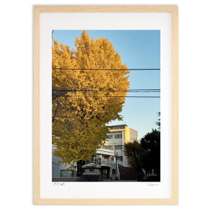 ŉ H̋Cz (Rcm)CeA Ǌ| z i |X^[ A[g rO ւɏ  v[g _ A[gt[