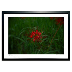 版画 秋を告げる紅 (ramble)インテリア 壁掛け 額入り 風景画 ポスター アート リビング 玄関に飾る 風水 プレゼント モダン アートフレーム