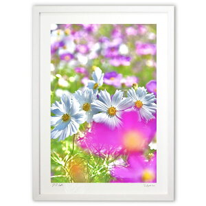 ŉ Hz (mitan)CeA Ǌ| z i |X^[ A[g rO ւɏ  v[g _ A[gt[