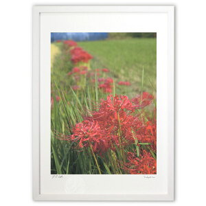 ŉ ފ݉ ()CeA Ǌ| z i |X^[ A[g rO ւɏ  v[g _ A[gt[