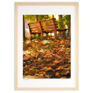 ŉ ₷炬̏Hx` (z -Rin-)CeA Ǌ| z i |X^[ A[g rO ւɏ  v[g _ A[gt[