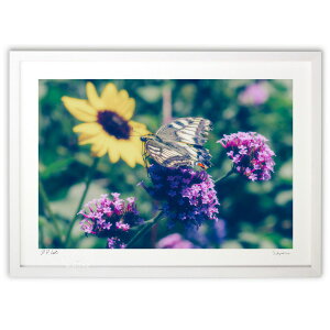 版画 花畑の訪問者 (crazetaka)インテリア 壁掛け 額入り 風景画 ポスター アート リビング 玄関に飾る 風水 プレゼント モダン アートフレーム