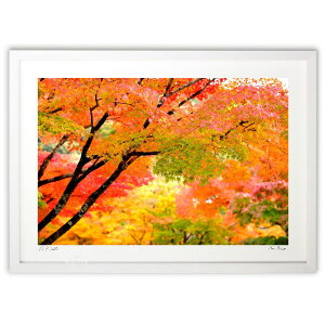 ŉ gt (makorin oino)CeA Ǌ| z i |X^[ A[g rO ւɏ  v[g _ A[gt[