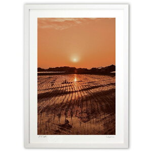 ŉ 6̗[ (mitan)CeA Ǌ| z i |X^[ A[g rO ւɏ  v[g _ A[gt[