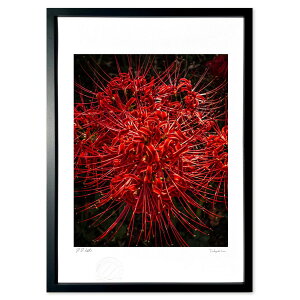 ŉ H̉؉ (crazetaka)CeA Ǌ| z i |X^[ A[g rO ւɏ  v[g _ A[gt[