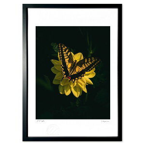 ŉ F̋ (crazetaka)CeA Ǌ| z i |X^[ A[g rO ւɏ  v[g _ A[gt[