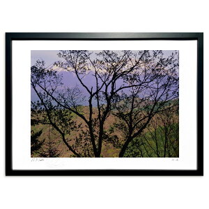 yX[p[SALEzzŉ ԎR] ({쓧)CeA Ǌ| z i |X^[ A[g rO ւɏ  v[g _ A[gt[