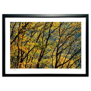 ŉ @ׂȖؗ ({쓧)CeA Ǌ| z i |X^[ A[g rO ւɏ  v[g _ A[gt[