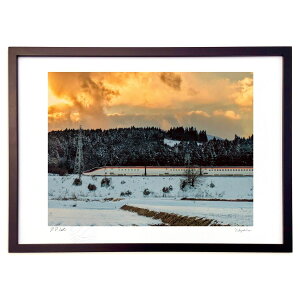 yX[p[SALEzzŉ FƔ˂ (VՂ܂񂶂イ)