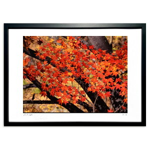 ŉ ^Ԃȍgt ({쓧)CeA Ǌ| z i |X^[ A[g rO ւɏ  v[g _ A[gt[