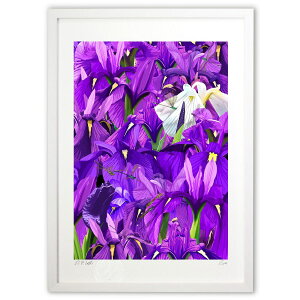 版画 野花菖蒲 (白川哲治)インテリア 壁掛け 額入り 風景画 ポスター アート リビング 玄関に飾る 風水 プレゼント モダン アートフレーム