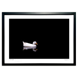 ŉ ̒ (kazufumi)CeA Ǌ| z i |X^[ A[g rO ւɏ  v[g _ A[gt[