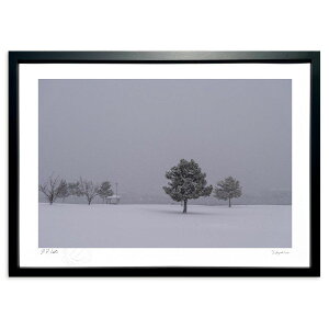 ŉ ʐ^@̌() (^JVorange)