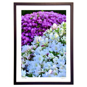 ŉ ĝ (mitan)CeA Ǌ| z i |X^[ A[g rO ւɏ  v[g _ A[gt[