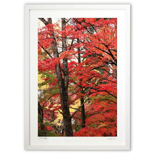 ŉ ݂ (엘v)CeA Ǌ| z i |X^[ A[g rO ւɏ  v[g _ A[gt[