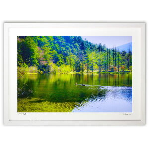 yX[p[SALEzzŉ ㍂n̖_r (blackswan)CeA Ǌ| z i |X^[ A[g rO ւɏ  v[g _ A[gt[