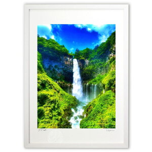 ŉ ،̑ (blackswan)CeA Ǌ| z i |X^[ A[g rO ւɏ  v[g _ A[gt[