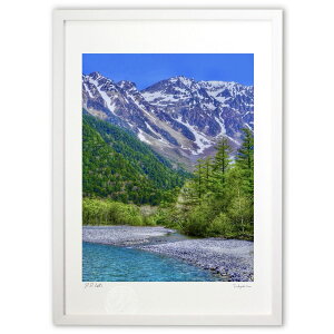 ŉ {̎@㍂n (blackswan)CeA Ǌ| z i |X^[ A[g rO ւɏ  v[g _ A[gt[