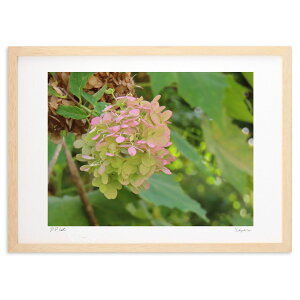 ŉ H̃AWTC (kazugram)CeA Ǌ| z i |X^[ A[g rO ւɏ  v[g _ A[gt[