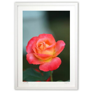 yX[p[SALEzzŉ ԂKN (̂m)CeA Ǌ| z i |X^[ A[g rO ւɏ  v[g _ A[gt[