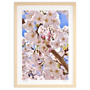 ŉ  (mitan)CeA Ǌ| z i |X^[ A[g rO ւɏ  v[g _ A[gt[