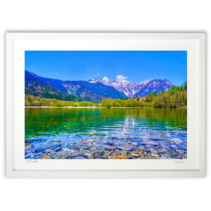 yX[p[SALEzzŉ ㍂n̑吳r (blackswan)CeA Ǌ| z i |X^[ A[g rO ւɏ  v[g _ A[gt[