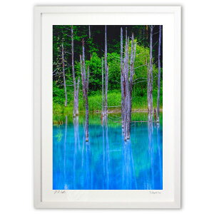 yƂ̍izkCxǖ̐rkC̊όnƂĂ܂ɂLȐrBx&