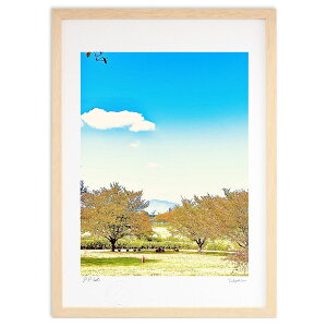 ŉ Ȟ ()CeA Ǌ| z i |X^[ A[g rO ւɏ  v[g _ A[gt[