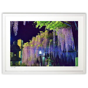 ŉ ̃CgAbv (mitan)CeA Ǌ| z i |X^[ A[g rO ւɏ  v[g _ A[gt[