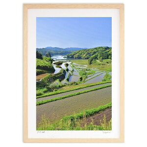 版画 皐月の棚田 (mitan)インテリア 壁掛け 額入り 風景画 ポスター アート リビング 玄関に飾る 風水 プレゼント モダン アートフレーム