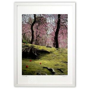 版画 しだれ梅と苔の海 (ruharu)インテリア 壁掛け 額入り 風景画 ポスター アート リビング 玄関に飾る 風水 プレゼント モダン アートフレーム