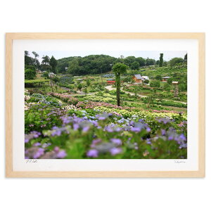 版画 紫陽花 (奥野利夫)インテリア 壁掛け 額入り 風景画 ポスター アート リビング 玄関に飾る 風水 プレゼント モダン アートフレーム