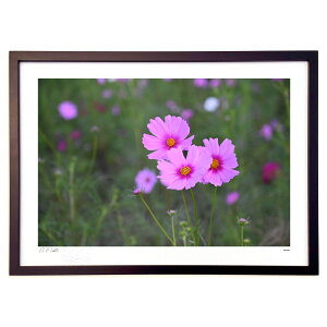 ŉ Ƃт̏H (Bluelabo)CeA Ǌ| z i |X^[ A[g rO ւɏ  v[g _ A[gt[