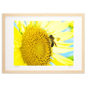 ŉ Ђ܂ƃ~co` ( i)CeA Ǌ| z i |X^[ A[g rO ւɏ  v[g _ A[gt[