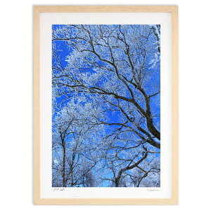 版画 氷の花 (奥野利夫)インテリア 壁掛け 額入り 風景画 ポスター アート リビング 玄関に飾る 風水 プレゼント モダン アートフレーム