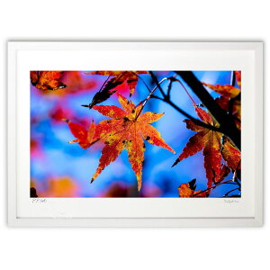 ŉ gt͌ (쌛)CeA Ǌ| z i |X^[ A[g rO ւɏ  v[g _ A[gt[