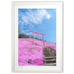 ŉ PinkWorld ({ \i)CeA Ǌ| z i |X^[ A[g rO ւɏ  v[g _ A[gt[