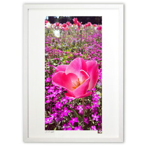 yX[p[SALEzzŉ sÑ`[bv (satomi)CeA Ǌ| z i |X^[ A[g rO ւɏ  v[g _ A[gt[