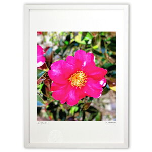 yX[p[SALEzzŉ sN̒ւɂƂ߂ (Ð )CeA Ǌ| z i |X^[ A[g rO ւɏ  v[g _ A[gt[