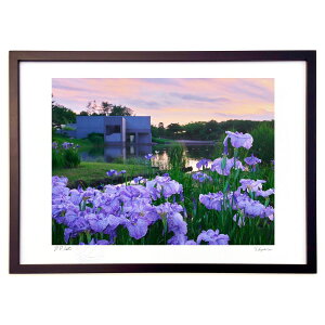 版画 花菖蒲 (佐藤 司)インテリア 壁掛け 額入り 風景画 ポスター アート リビング 玄関に飾る 風水 プレゼント モダン アートフレーム