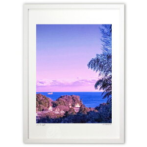 yX[p[SALEzzŉ ӂ闢̋ȕォ猩CƑD (Ð )