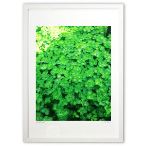 ŉ K̎lt̃N[o[ɕ܂ꂽE (Ð )