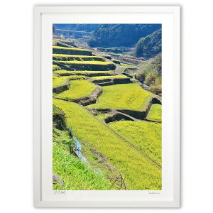 ŉ iX̍؂̉ (mitan)CeA Ǌ| z i |X^[ A[g rO ւɏ  v[g _ A[gt[