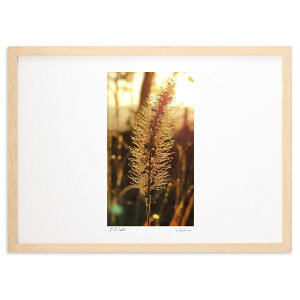 �ŉ� �����̂��� (HARU)�C���e���A �Ǌ|�� �z���� ���i�� �|�X�^�[ �A�[�g ���r���O ���ւɏ��� ���� �v���[���g ���_�� �A�[�g�t���[��